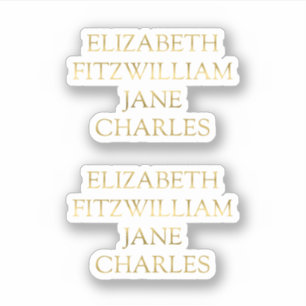 Main Characters Pride and Prejudice Jane Austen Sticker