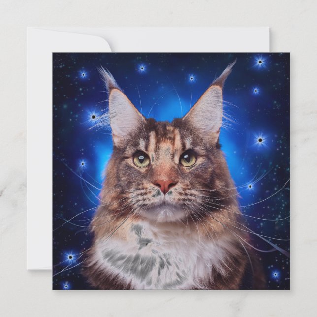 Main Coon Cat Blue Background Stars Invitation (Front)