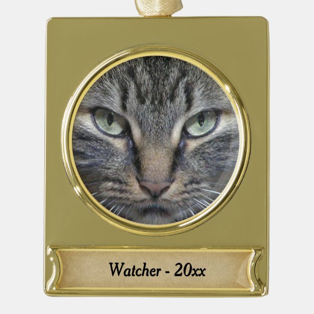 Main Coon Cat Eyes Gold Name and Year Gold Plated Banner Ornament (Front)