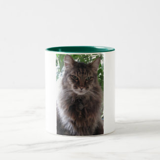 Main Coon Cat Mug