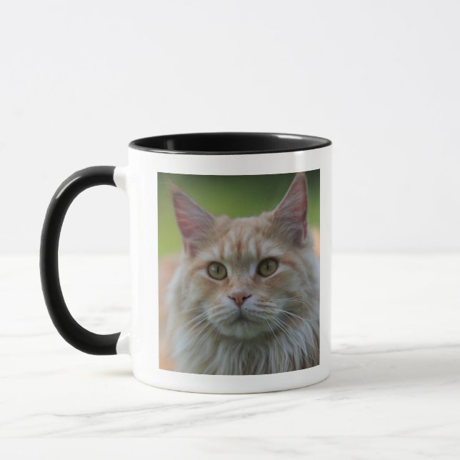 Main coon cat mug (Left)