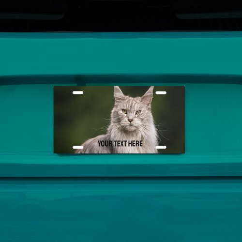 Main Coon  Cat Photo Custom Text License Plate
