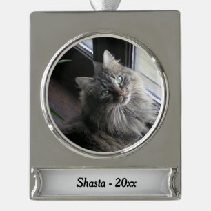 Main Coon Cat Silver Name and Year Plated Banner Ornament