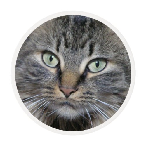 Main Coon Cats Eyes Edible Frosting Rounds