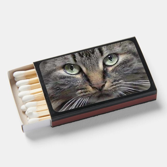 Main Coon Cats Eyes Matchboxes (Front Open)