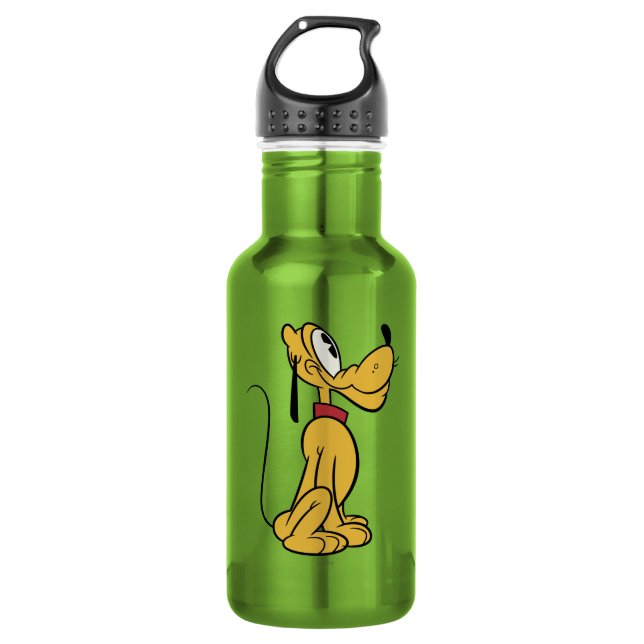 Main Mickey Shorts | Pluto Side Profile Water Bottle (Front)