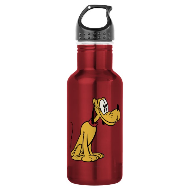 Main Mickey Shorts | Pluto Sitting Stainless Steel Water Bottle (Front)