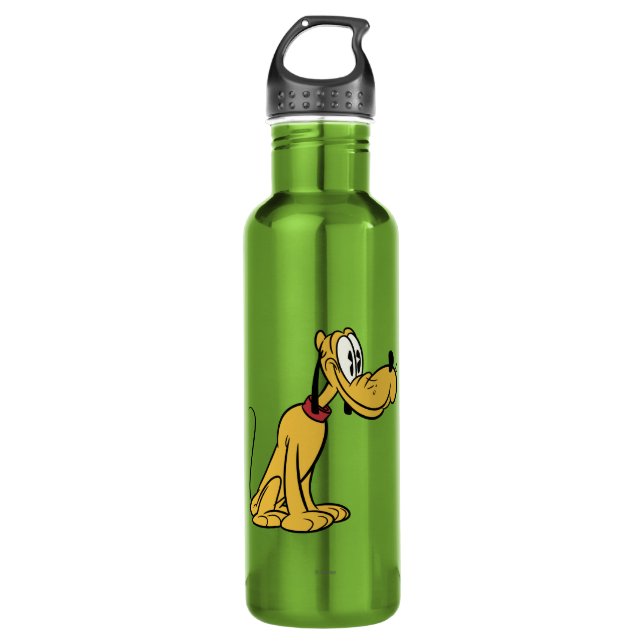 Main Mickey Shorts | Pluto Sitting Stainless Steel Water Bottle (Front)