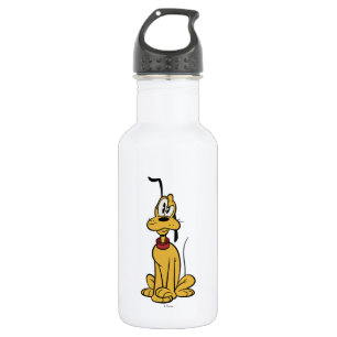 Main Mickey Shorts Pluto Stainless Steel Water Bottle