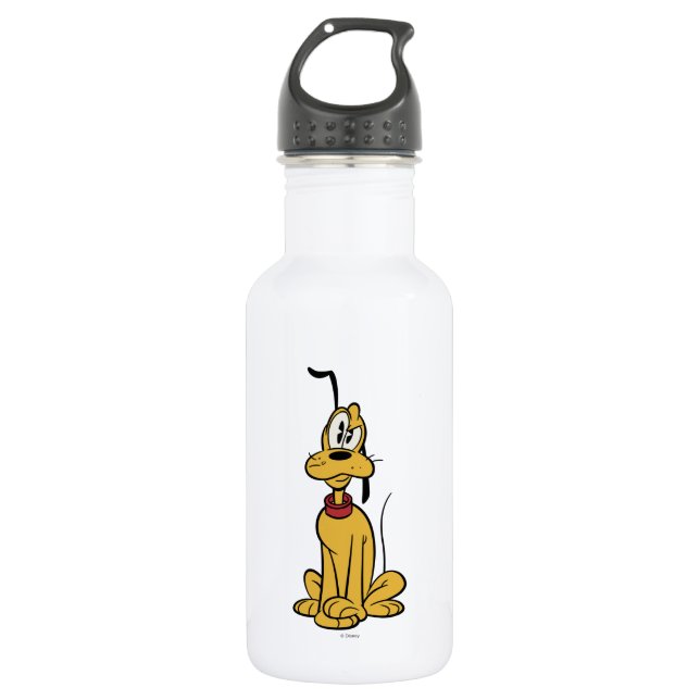 Main Mickey Shorts | Pluto Stainless Steel Water Bottle (Front)