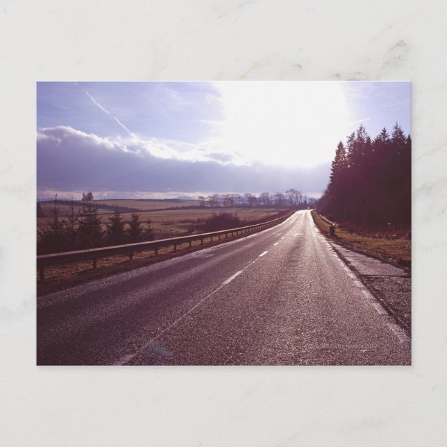 Main road with low winter sun. postcard (Front)