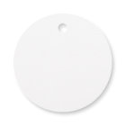 Main Squeeze Citrus Bridal Shower Favor Tags