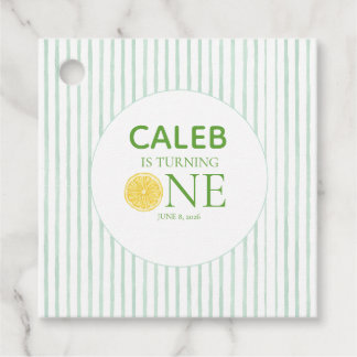 Main squeeze Lemon First Birthday Favor Tags