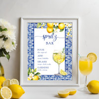 Main Squeeze Lemons Bridal Shower Spritz Bar