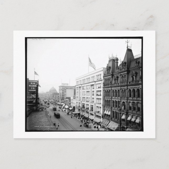 Main Street, Buffalo, New York Vintage Postcard (Front)