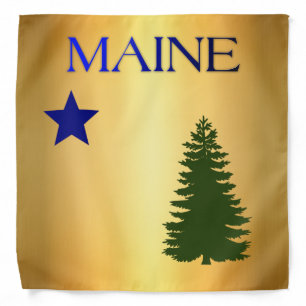 Maine (1901) flag bandana