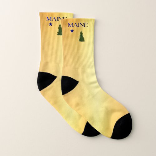Maine 1901 flag socks
