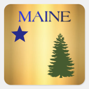 Maine (1901) flag square sticker