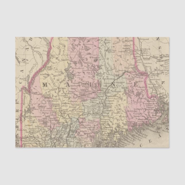 Maine 3 tissue paper (Front)