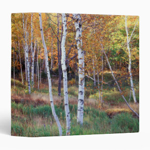 Maine, Acadia National Park, Autumn 3 Ring Binder