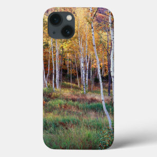 Maine, Acadia National Park, Autumn iPhone 13 Case