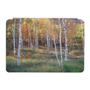 Maine, Acadia National Park, Autumn iPad Mini Cover