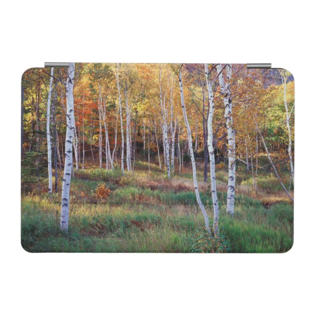 Maine, Acadia National Park, Autumn iPad Mini Cover (Horizontal)