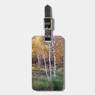 Maine, Acadia National Park, Autumn Luggage Tag