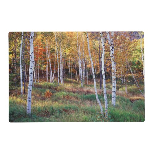 Maine Acadia National Park Autumn Placemat