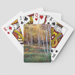 Maine, Acadia National Park, Autumn Poker Cards