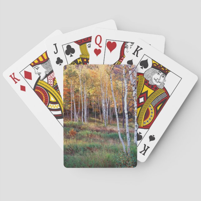 Maine, Acadia National Park, Autumn Poker Cards (Back)