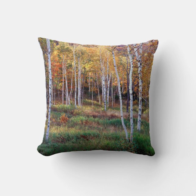 Maine, Acadia National Park, Autumn Throw Pillow (Front)