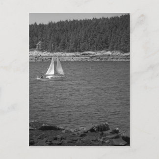 Maine_Black+White_9 Postcard