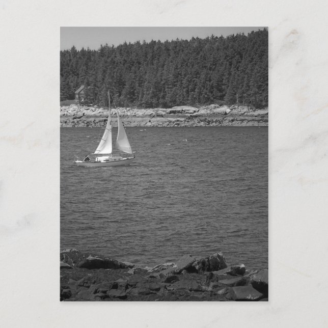 Maine_Black+White_9 Postcard (Front)