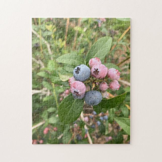 Maine Blueberries Jigsaw Puzzle (Vertical)