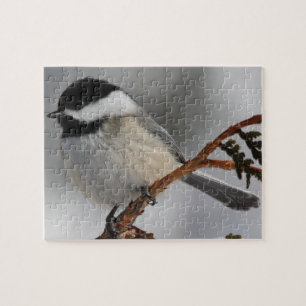 Maine Chickadee Jigsaw Puzzle