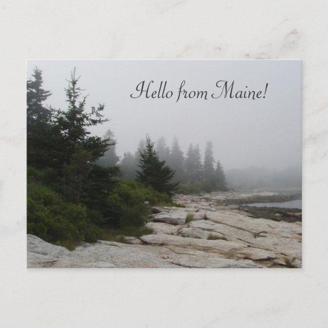 Maine Coast Shoreline Postcard (Front)