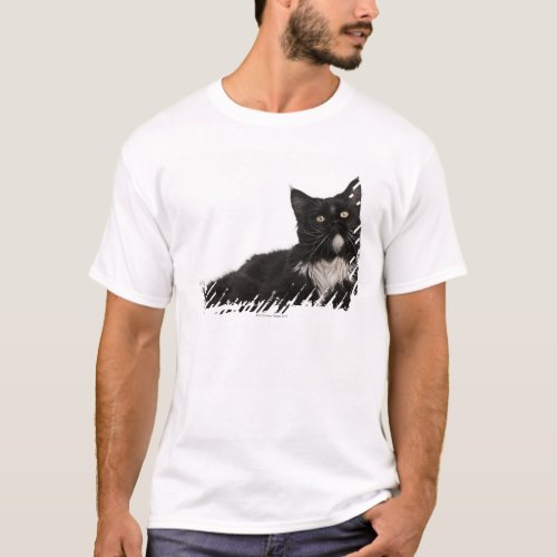 Maine Coon 15 months old T_Shirt