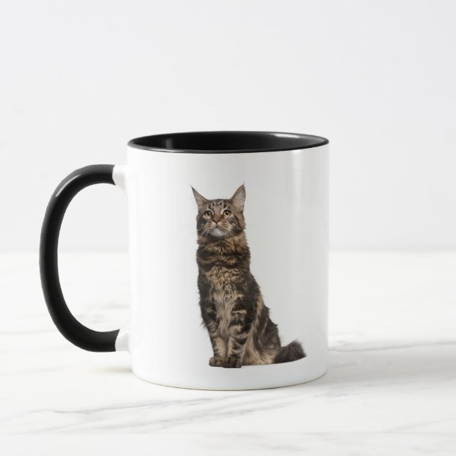 Maine Coon (8 months old) Mug (Left)