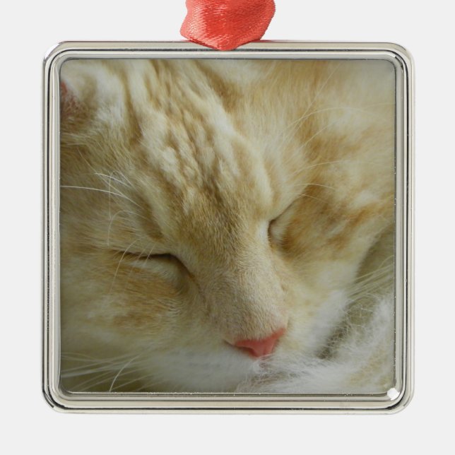 Maine Coon Bentley sleeping Metal Ornament (Front)