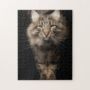 Maine Coon big cat Jigsaw Puzzle