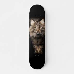 Maine Coon big cat  Skateboard