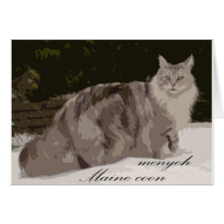 maine coon cards