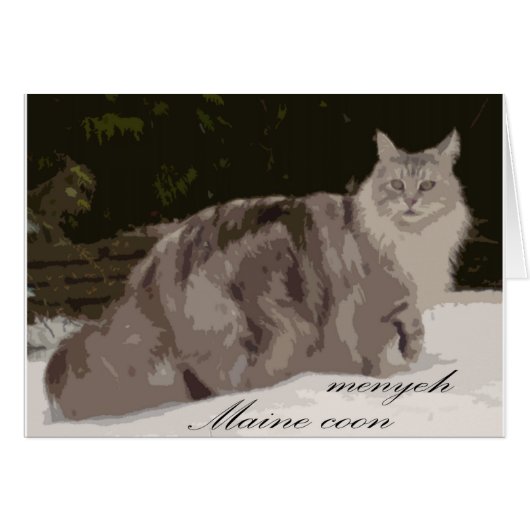 maine coon cards (Front Horizontal)