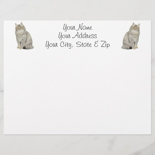 Maine Coon Cat (Front)