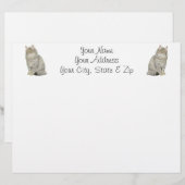Maine Coon Cat (Front/Back)