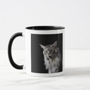 Maine Coon cat 2 Mug
