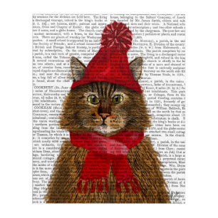 Maine Coon Cat Acrylic Print