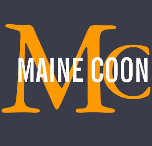 Maine Coon Cat Breed Monogram Hoodie Maine Coon Cat Breed Monogram Hoodie