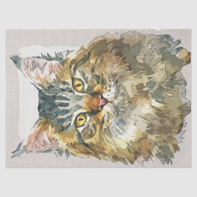 Maine Coon Cat Breed Watercolor Sketch Tissue Paper (Front)